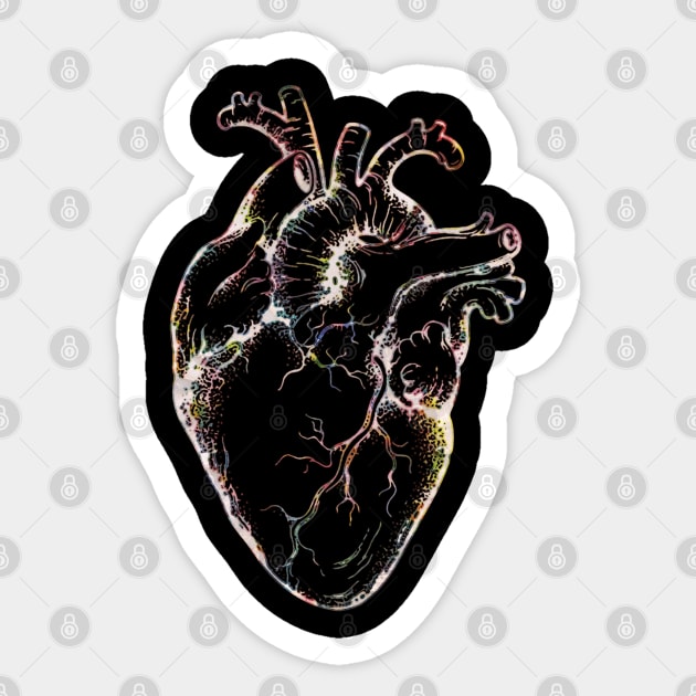 Anatomical Heart 3 Sticker by Collagedream